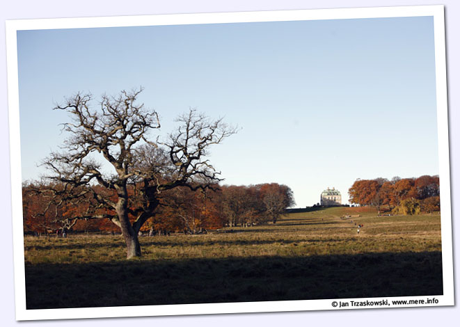 _MG_0793_2_ed