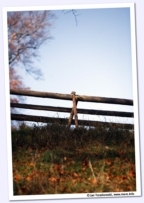 _MG_0797_ed