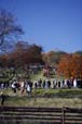 _MG_0886_ed