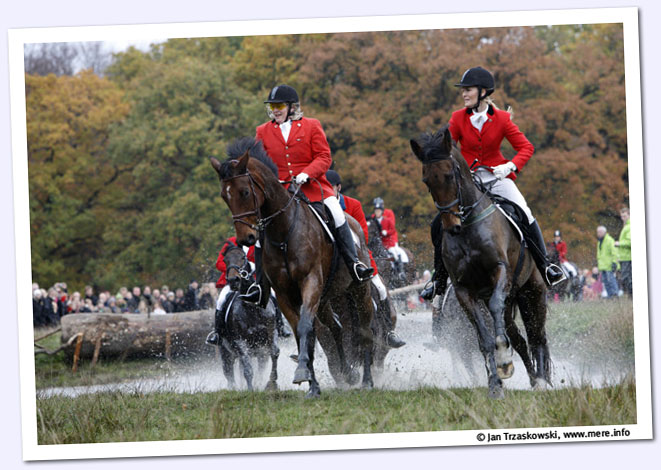 _DS_3906_ed